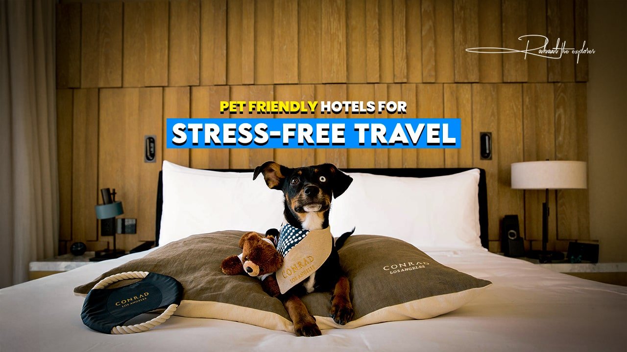 Pet Friendly Hotels for Stress-Free Travel