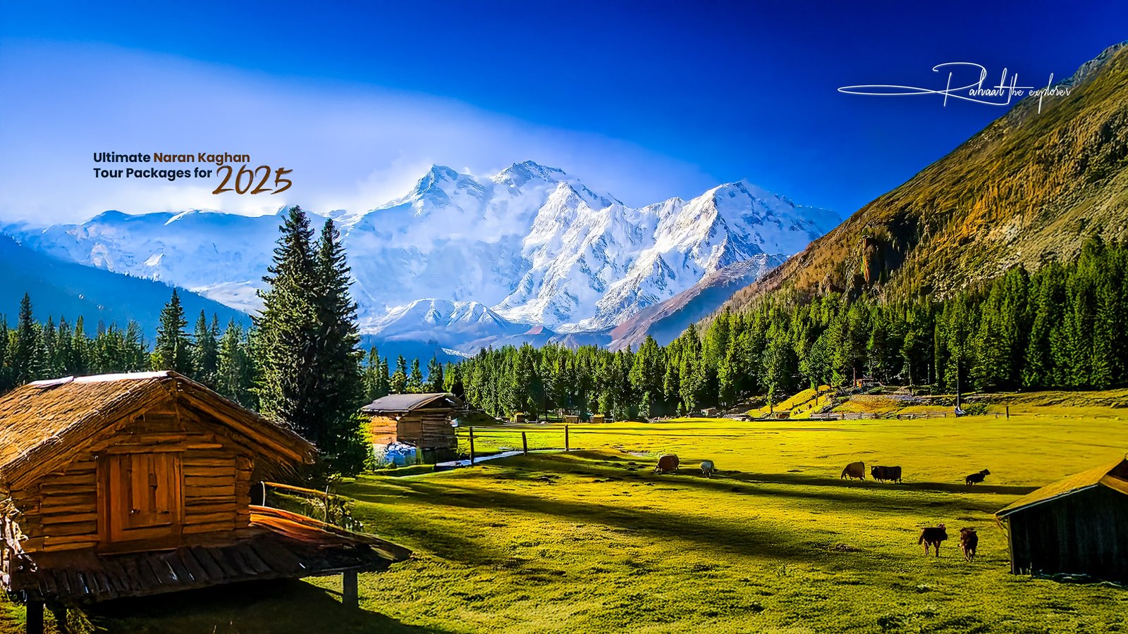 Ultimate Naran Kaghan Tour Packages for 2025