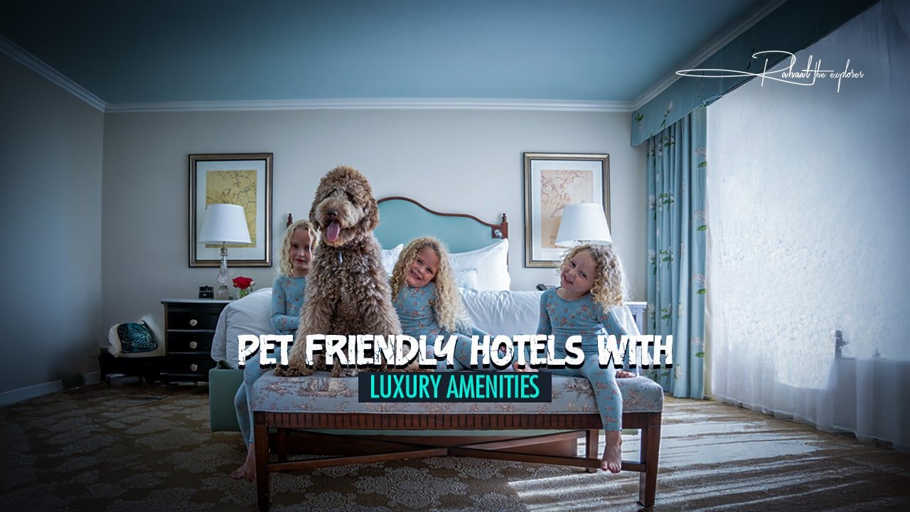Pet Friendly Hotels with Luxury Amenities