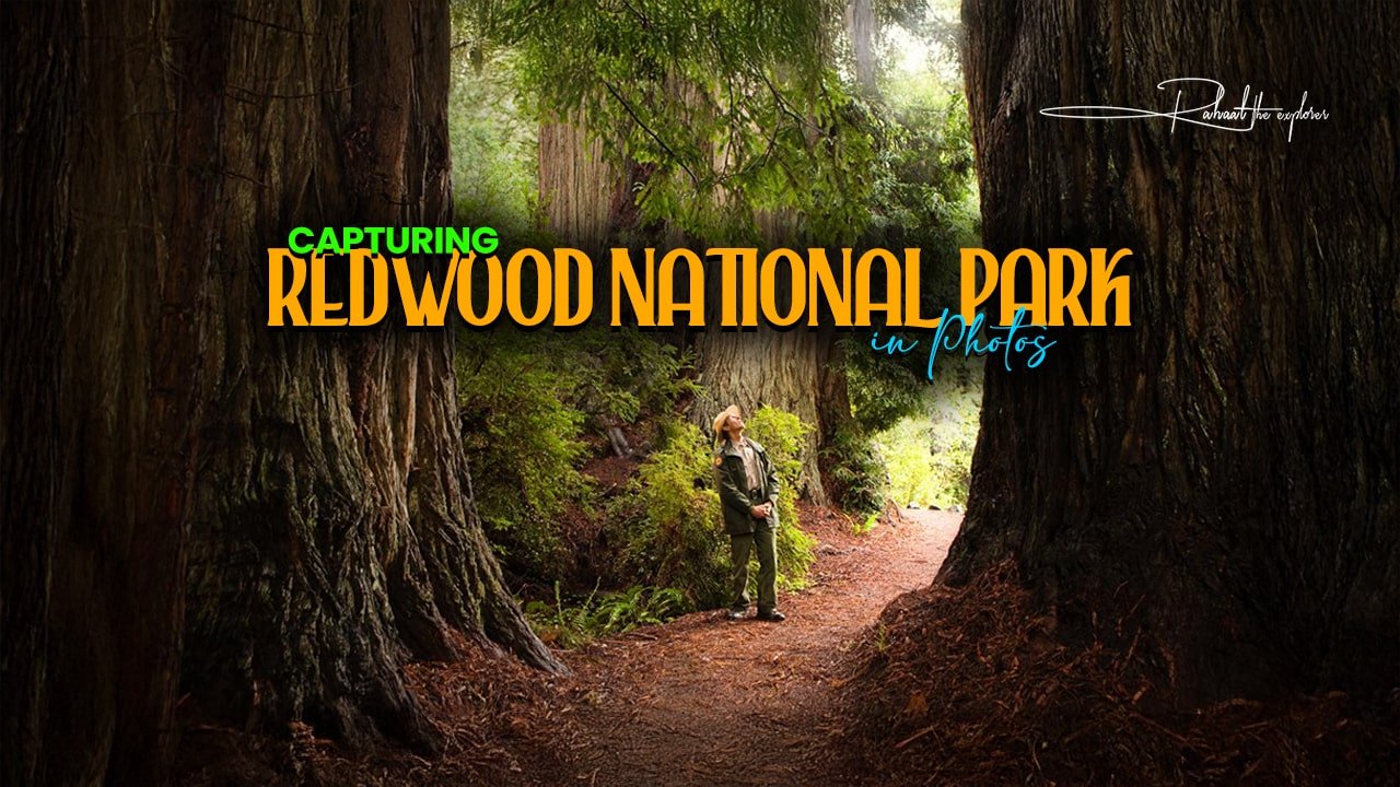 Capturing Redwood National Park in Photos