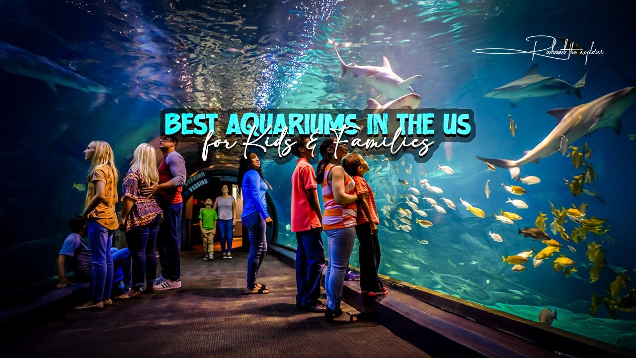 Best Aquariums in the US for Kids & Families
