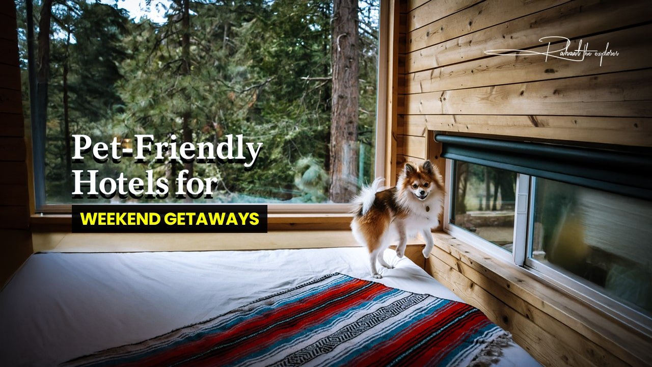 Pet-Friendly Hotels for Weekend Getaways