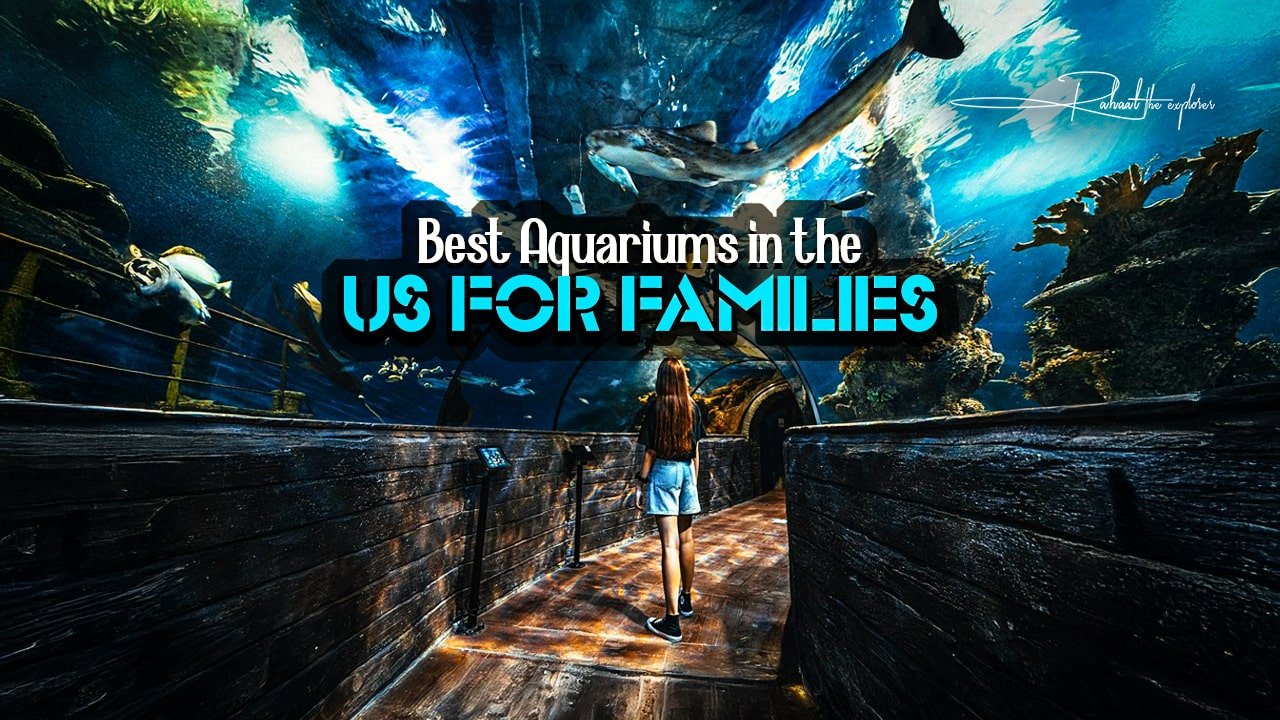 Best Aquariums in the US for Families