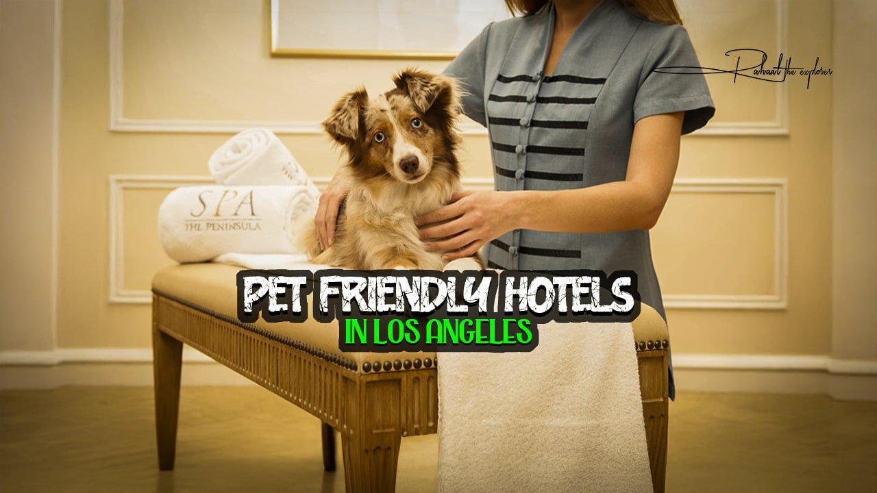 Pet Friendly Hotels in Los Angeles
