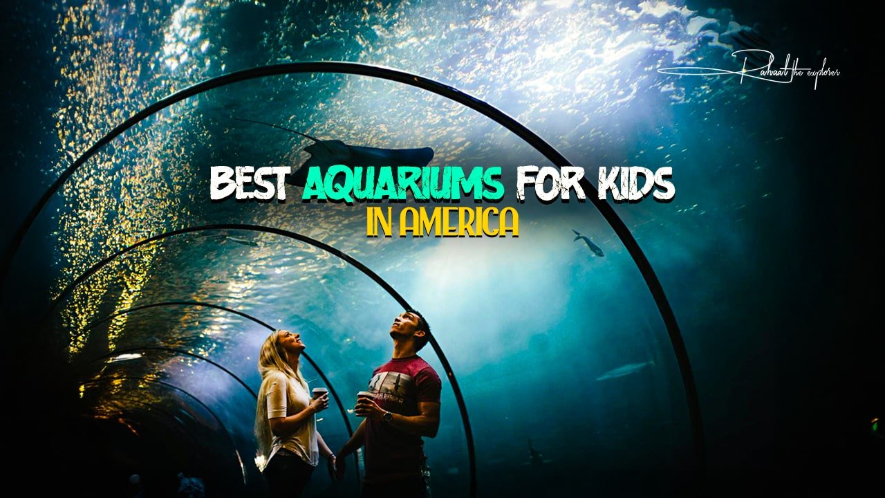 Best Aquariums for Kids in America