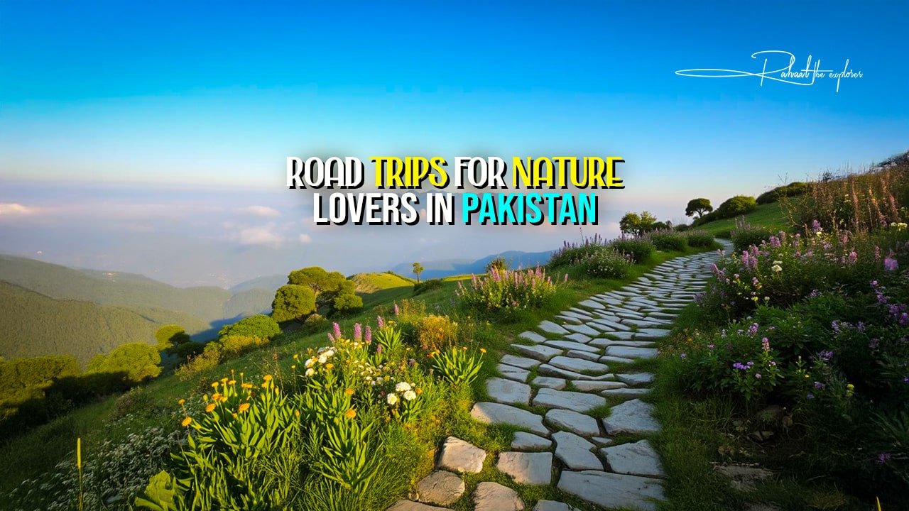 Road Trips for Nature Lovers in Pakistan