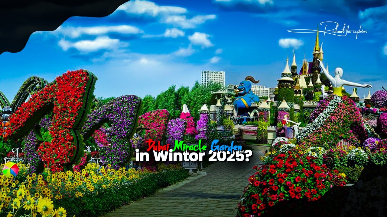 Why Dubai Miracle Garden Is a Must in Winter 2025